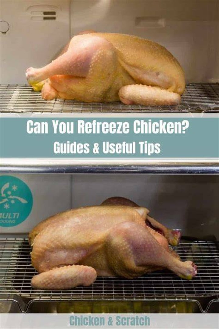 Can You Refreeze Chicken - How To Discuss