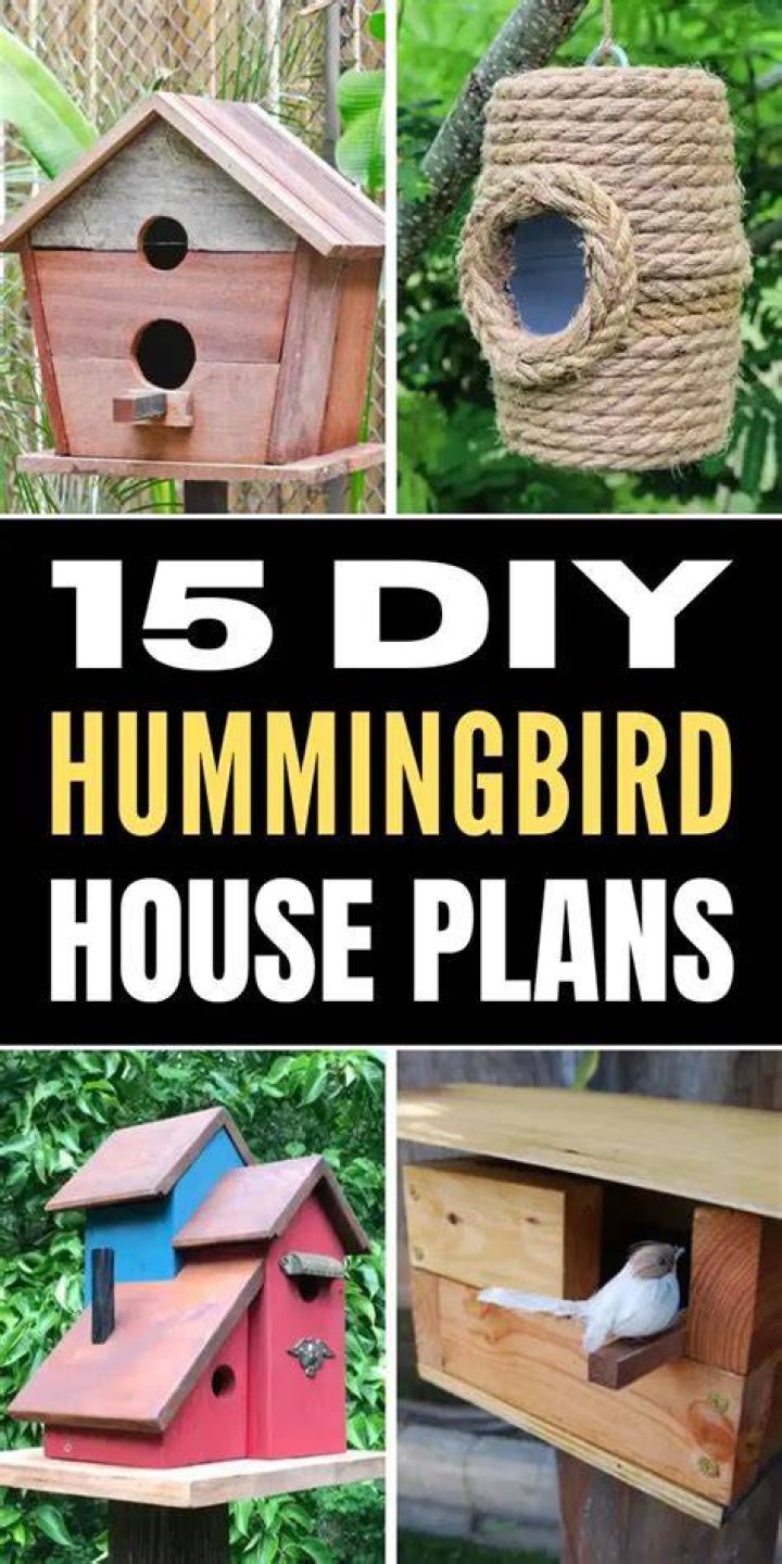 Hummingbird House - How To Discuss