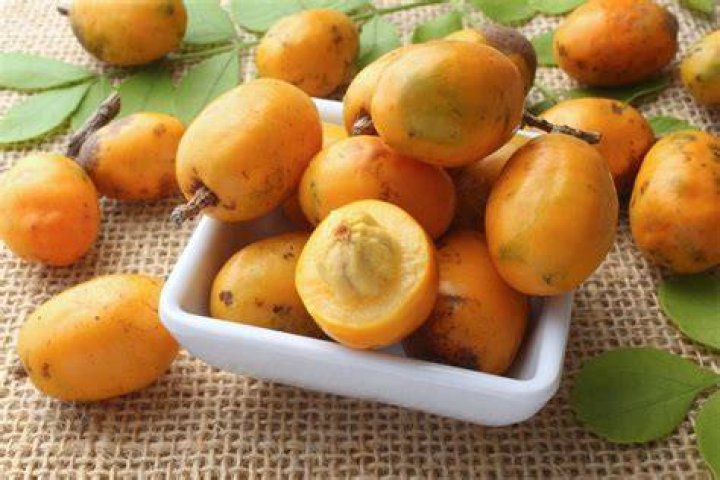 Jobo Fruit - How To Discuss