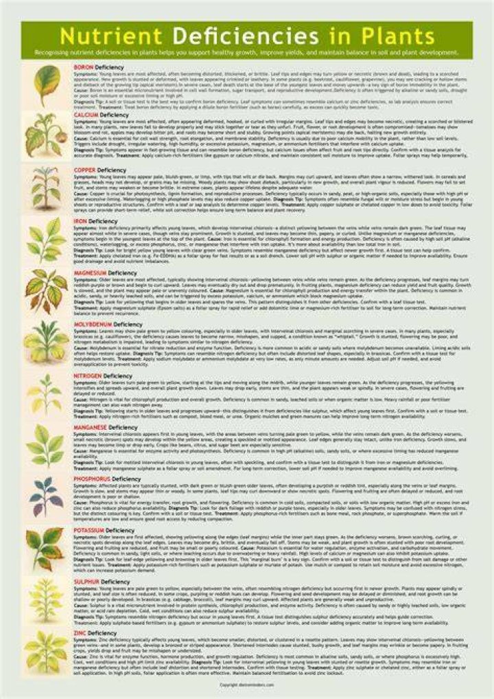 Nutrient deficiency in plants - How To Discuss